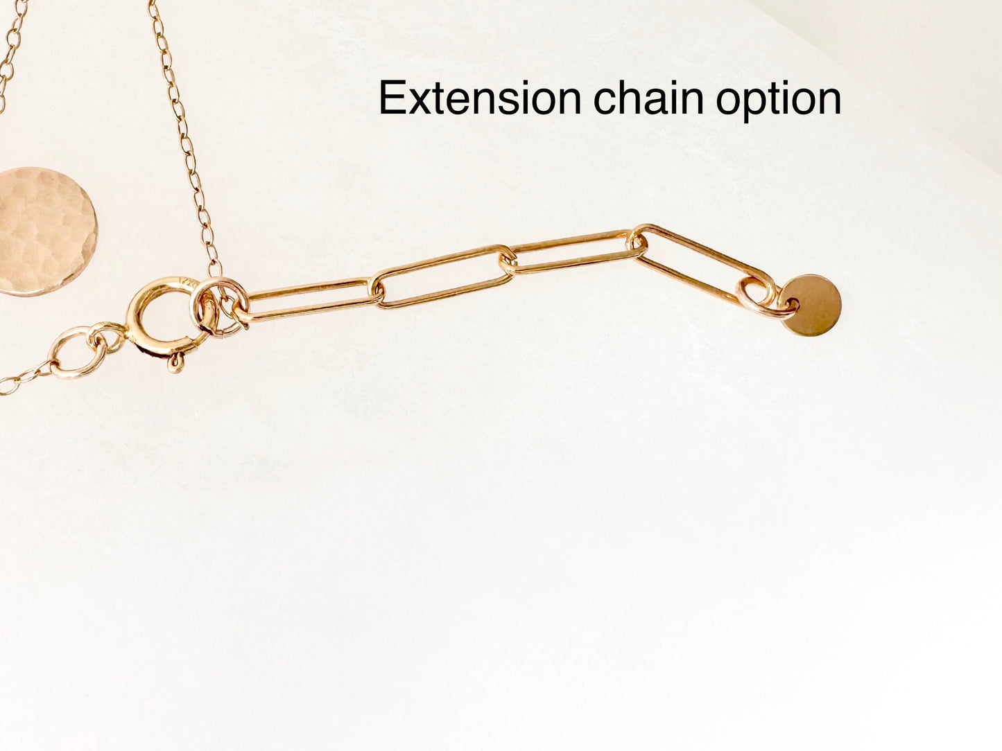 Gold Filled Disc Pendant Necklace